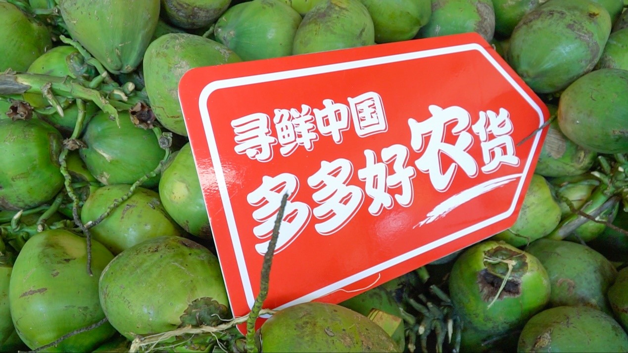 拼多多“百亿补贴”直播助力消博会 网友拼购精品好货“云参会”