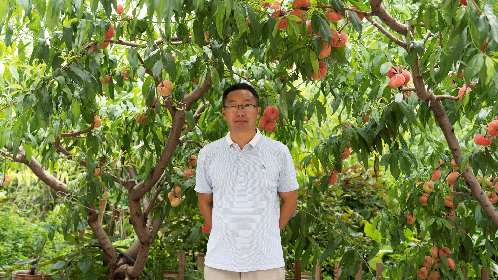 平谷大桃：一个新电商村的逆袭之路