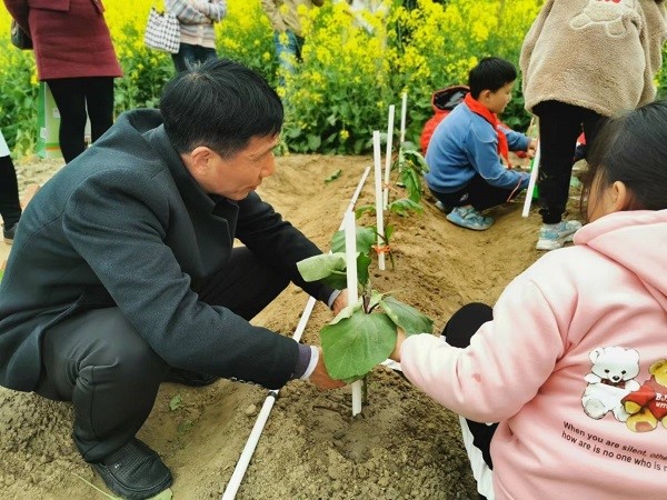 江苏省培班走进劳动教育示范校章郭小学