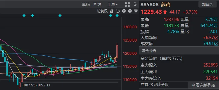 养鸡、电机、工业母机、机器人，A股这4种“鸡”，为何罕见同日大涨？