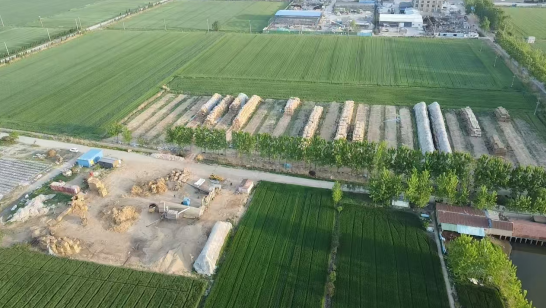 江苏东海县30亩基本农田被非法占用建草料场 居民举报多年未果