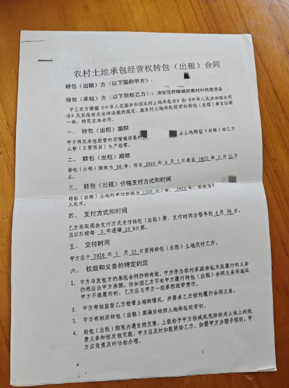 淮安温氏养猪场污染农田：近400亩基本农田疑遭违规占用 小麦减产超六成