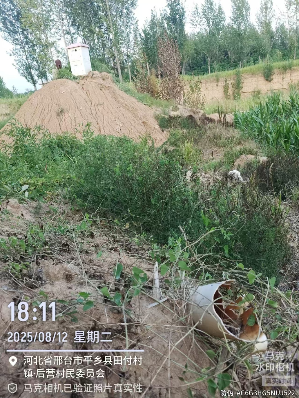 河北平乡县重点道路工程“先上车、后补票”，被质疑程序违法