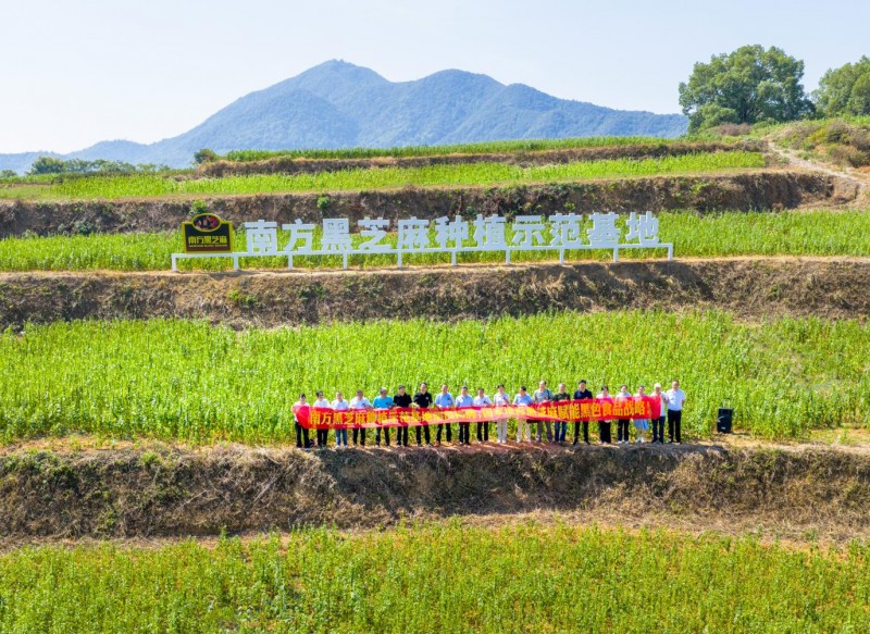 南方黑芝麻种植示范基地瑞昌揭牌：全产业链布局再升级