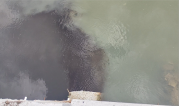 江苏涟水:污水直排数年未治 工作人员称“黑水不代表是污水” 江苏涟水:污水直排数年未治 工作人员称“黑水不代表是污水”