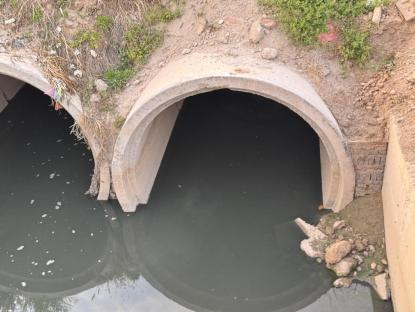 江苏涟水:污水直排数年未治 工作人员称“黑水不代表是污水” 江苏涟水:污水直排数年未治 工作人员称“黑水不代表是污水”