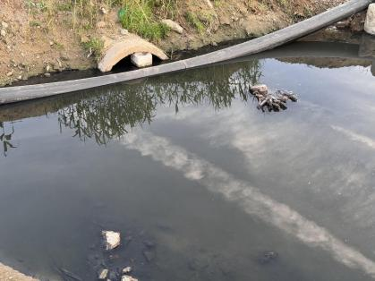 江苏涟水:污水直排数年未治 工作人员称“黑水不代表是污水” 江苏涟水:污水直排数年未治 工作人员称“黑水不代表是污水”