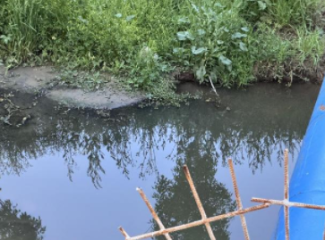 江苏涟水:污水直排数年未治 工作人员称“黑水不代表是污水” 江苏涟水:污水直排数年未治 工作人员称“黑水不代表是污水”