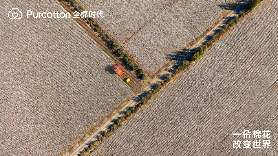 一朵棉花改变世界 全棉时代溯源纪录片上线 一朵棉花改变世界 全棉时代溯源纪录片上线