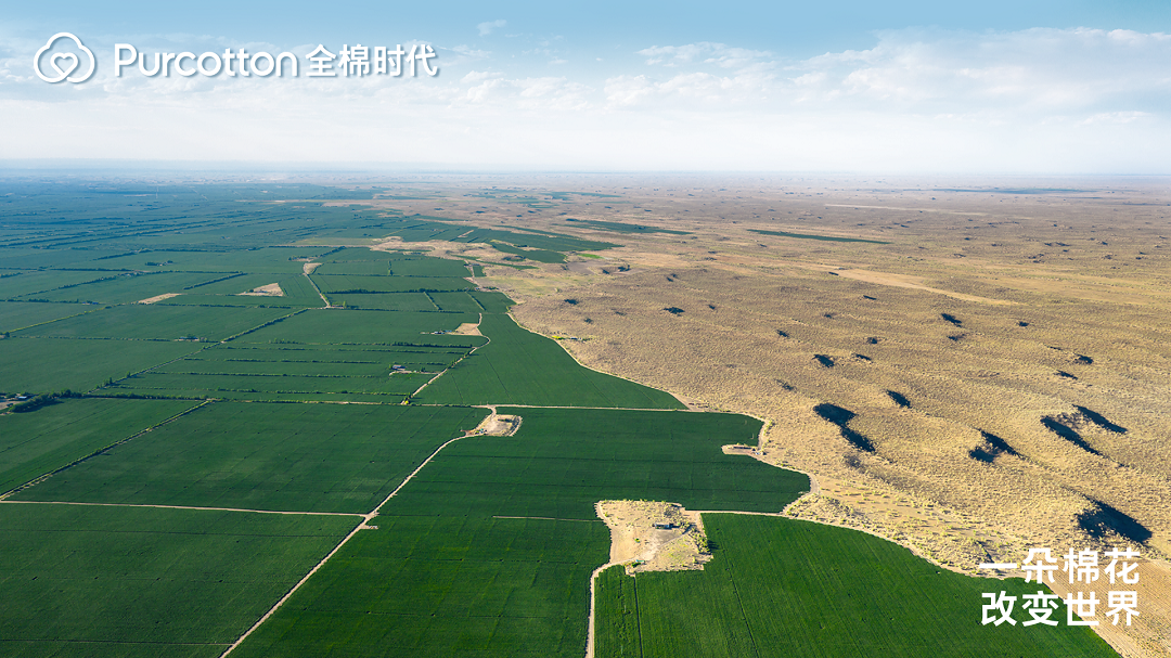 一朵棉花改变世界 全棉时代溯源纪录片上线 一朵棉花改变世界 全棉时代溯源纪录片上线