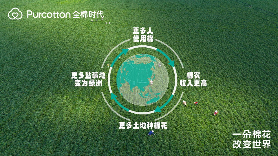 一朵棉花改变世界 全棉时代溯源纪录片上线 一朵棉花改变世界 全棉时代溯源纪录片上线