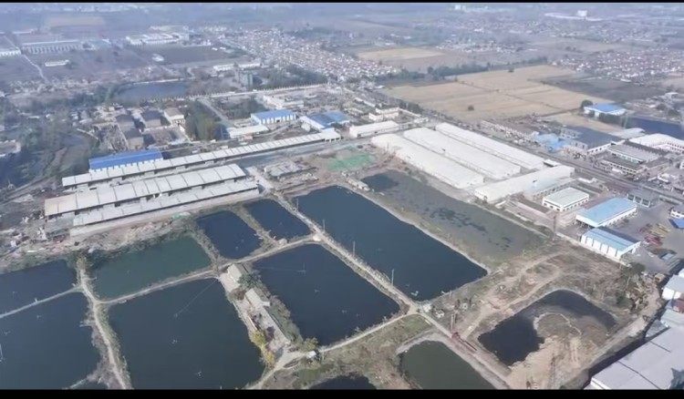 江苏徐州一农副品保供中心被指未批先建，官方：未查到用地手续，已建议立案调查