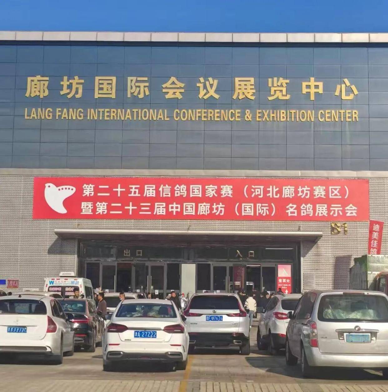 24载沉淀！廊坊国际名鸽展启幕，小信鸽撬动百亿产业生态