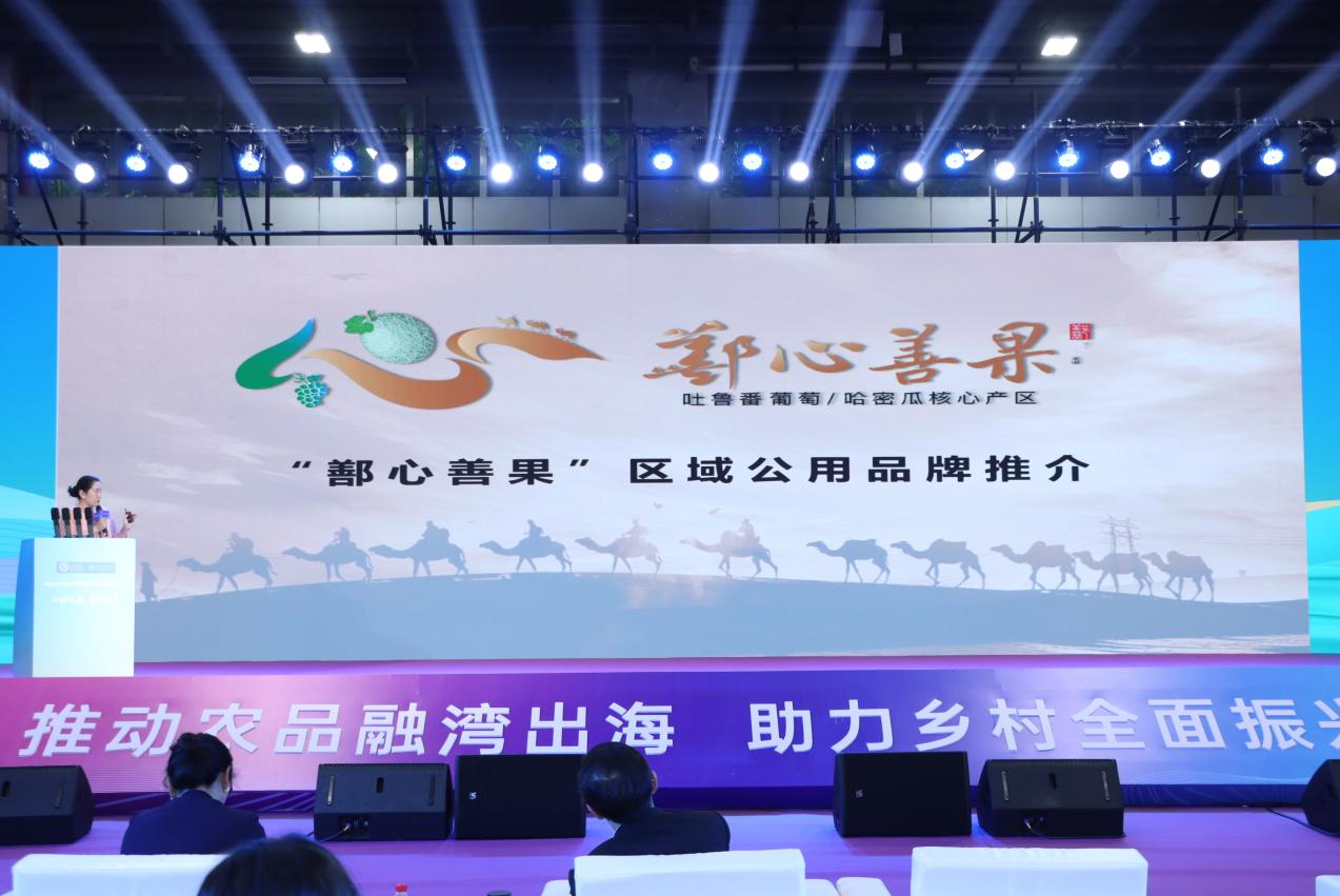 从吐鲁番盆地到珠江三角洲,鄯善县“甜蜜产业 ”赴湾区之约 从吐鲁番盆地到珠江三角洲,鄯善县“甜蜜产业 ”赴湾区之约