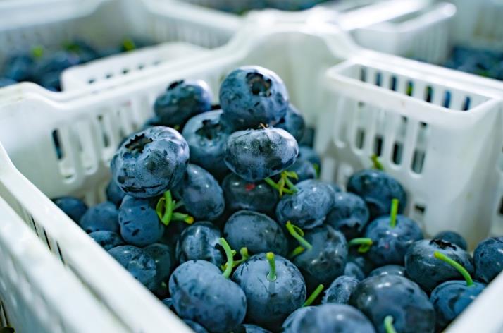 拼多多“千亿扶持”加码“2026年货节”，百亿补贴推出三大重磅补贴