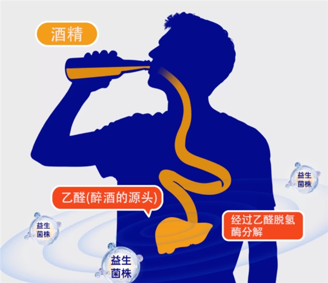 深究生产工艺与配料安全，实力品牌盘点2026，哪个益生菌品牌值得信赖？