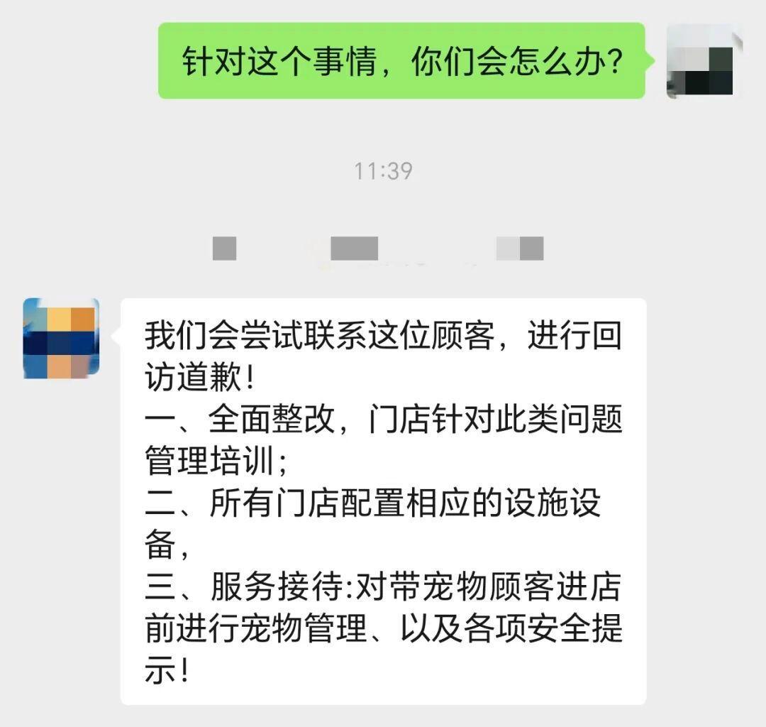 武汉一餐厅被曝顾客的宠物狗上餐桌，餐厅回应：或因忙碌未及时制止，将全面整改