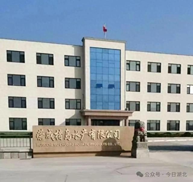 山东荣成：东楮岛村集体企业改制遭实名质疑 ，九千余亩海域及船队被指隐匿侵占