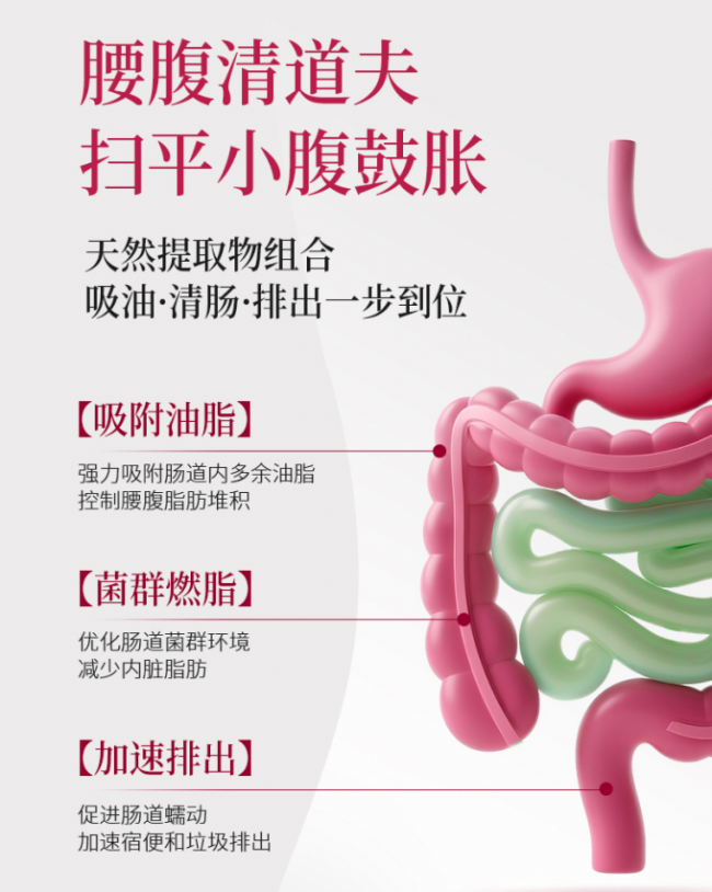 2026减脂代餐深度测评:拒绝节食反弹,腰纪线凭硬核实力成为塑形黑马 2026减脂代餐深度测评:拒绝节食反弹,腰纪线凭硬核实力成为塑形黑马