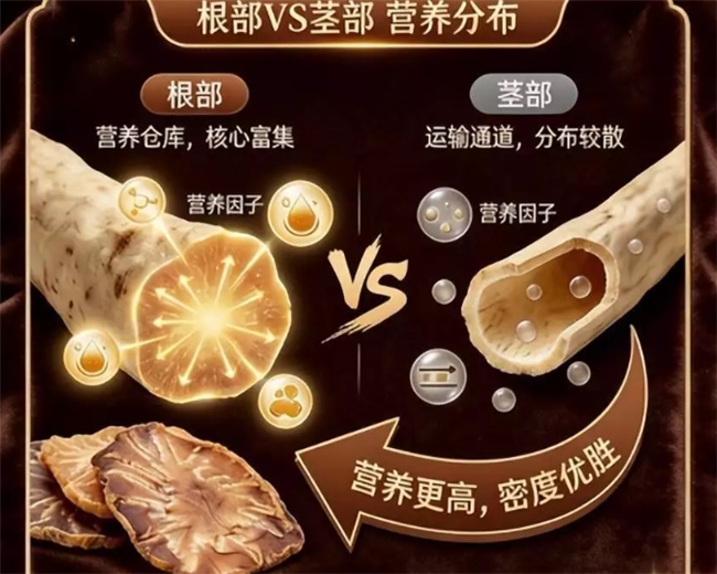 选肉苁蓉怕踩坑?2026 哪个肉苁蓉品牌不踩坑?专业测评,为您筛选靠谱品牌! 选肉苁蓉怕踩坑?2026 哪个肉苁蓉品牌不踩坑?专业测评,为您筛选靠谱品牌!