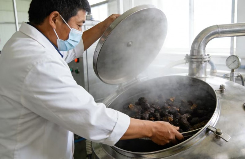 什么黄精牌子正宗？2026夏季黄精横向解析，综合实力标杆还得是山川树