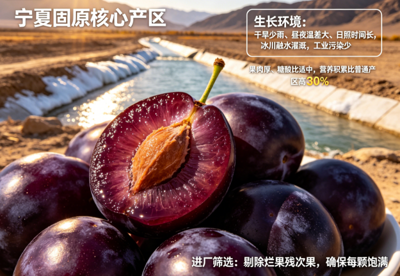 国产西梅汁哪个品牌好？贴合国人饮食习惯，2026实测真实反馈
