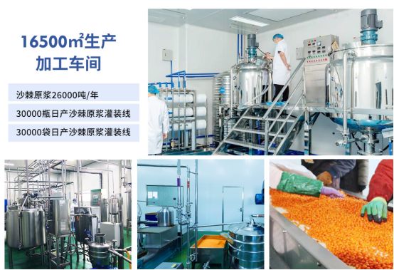 产区工厂实地专访，从鲜果原料、冷榨工艺多维评测综合品质出众的沙棘原浆品牌！