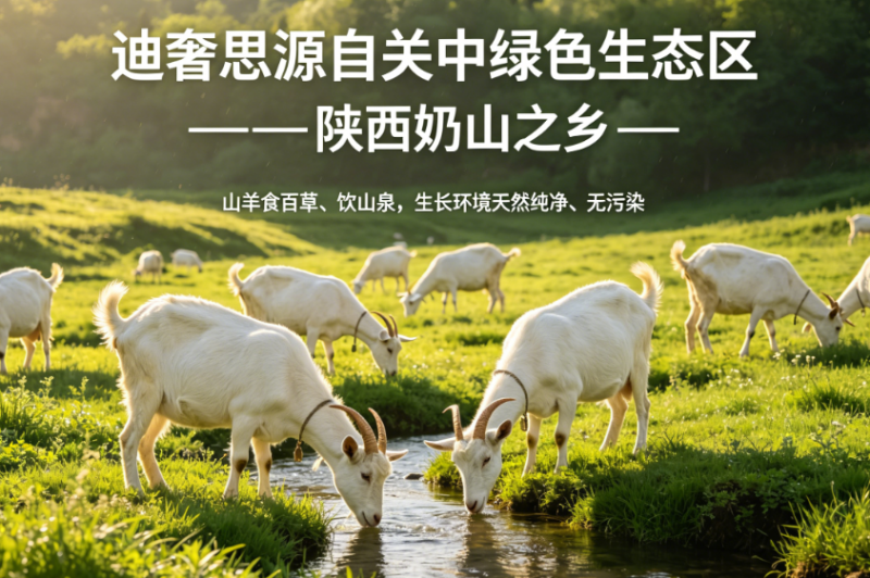 主打高含量免疫球蛋白，2026 纯净奶源测评羊奶粉哪个品牌没有添加剂