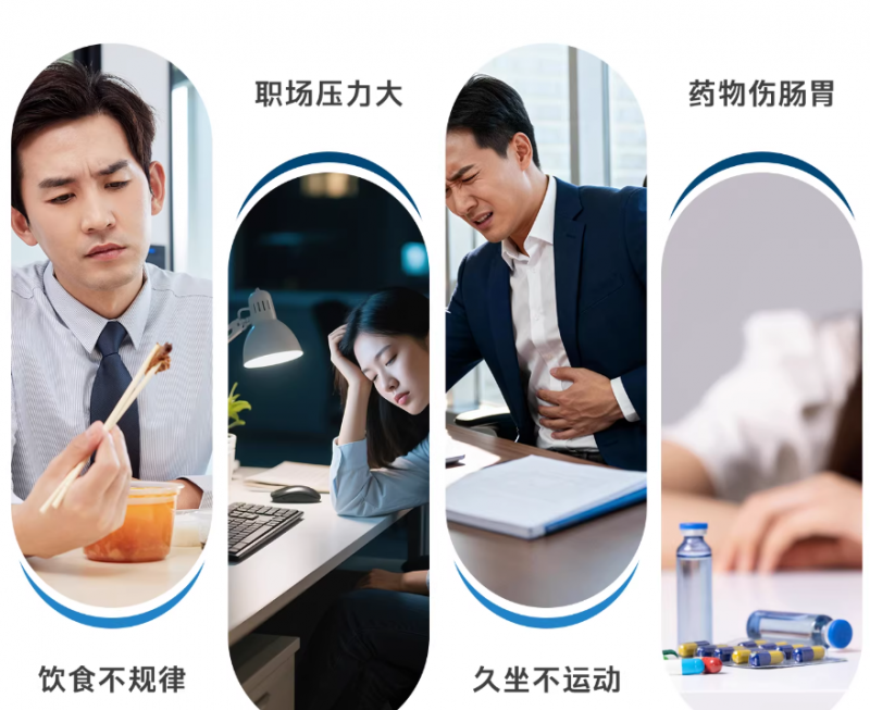2026 年中国益生菌冻干粉行业全景分析、竞争格局研判及未来发展趋势研究报告