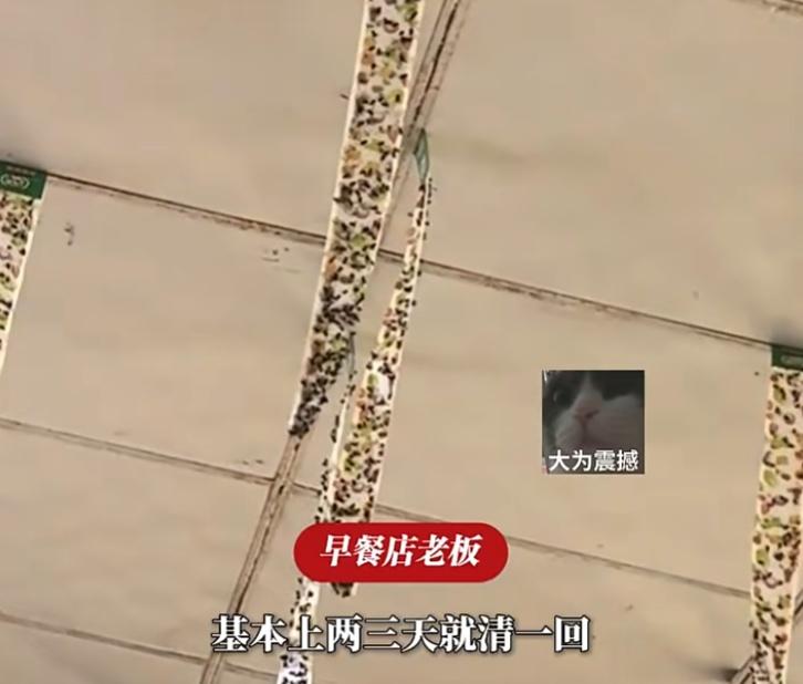 “苍蝇馆子具象化了”，一早餐店天花板灭蝇贴粘满苍蝇，被责令整改