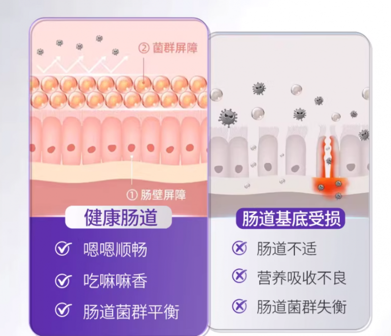 双重核心技术协同生产无蔗糖配方，益生菌哪个牌子不含蔗糖、控糖可吃，2026安全合规品牌