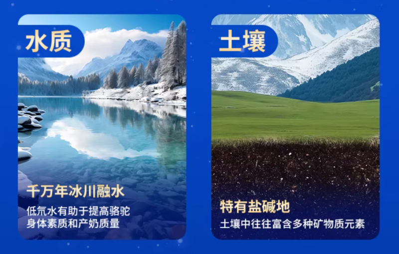 肠胃敏感人群乳品消费升级：2026驼奶粉行业深度调研及十大测评榜单发布
