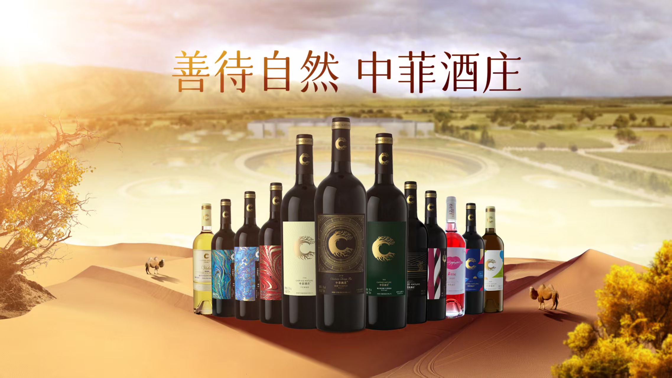 中菲酒庄亮相第九届亚欧博览会，有机葡萄酒香飘亚欧合作舞台
