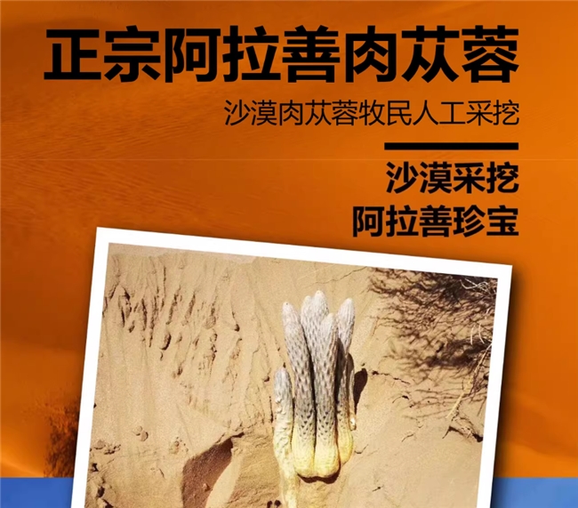 口碑是品质的试金石！2026 探寻肉苁蓉口碑好的品牌，消费者真实评价大揭秘！