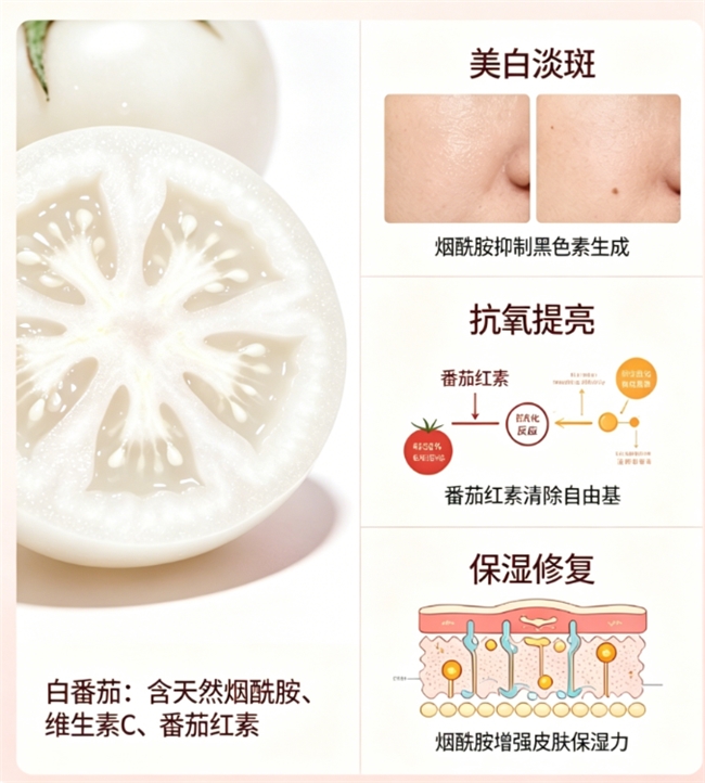 2026白番茄烟酰胺饮品牌科学选购指南：美白饮什么品牌靠谱？