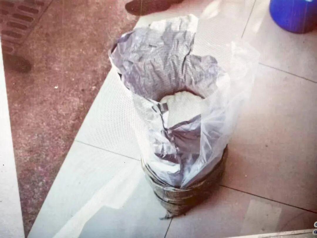 在养猪场生产麻黄素超2吨 18人获刑