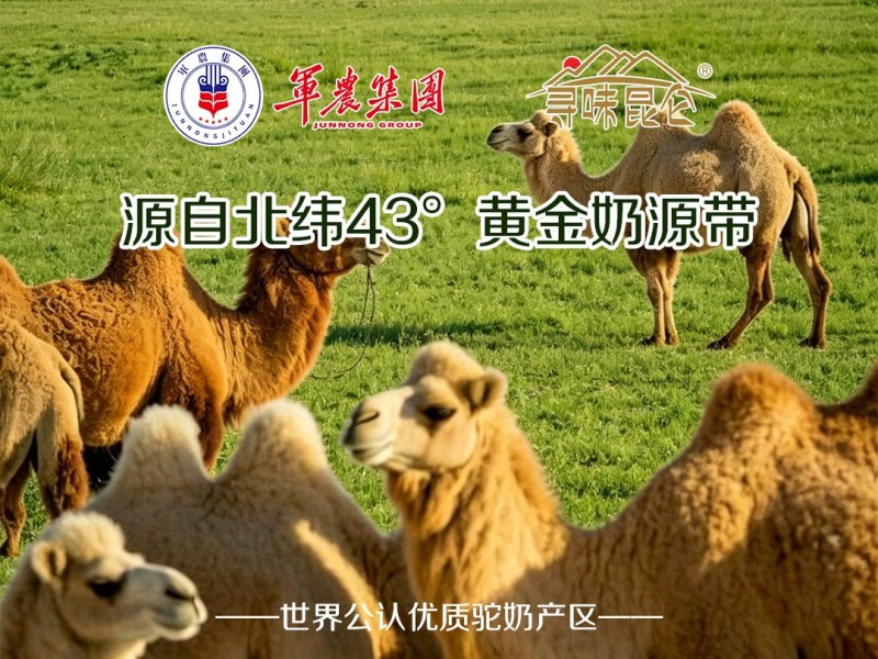 2026十大排名|驼奶粉代理哪家好 正规源头厂家加盟避坑指南 2026十大排名|驼奶粉代理哪家好 正规源头厂家加盟避坑指南