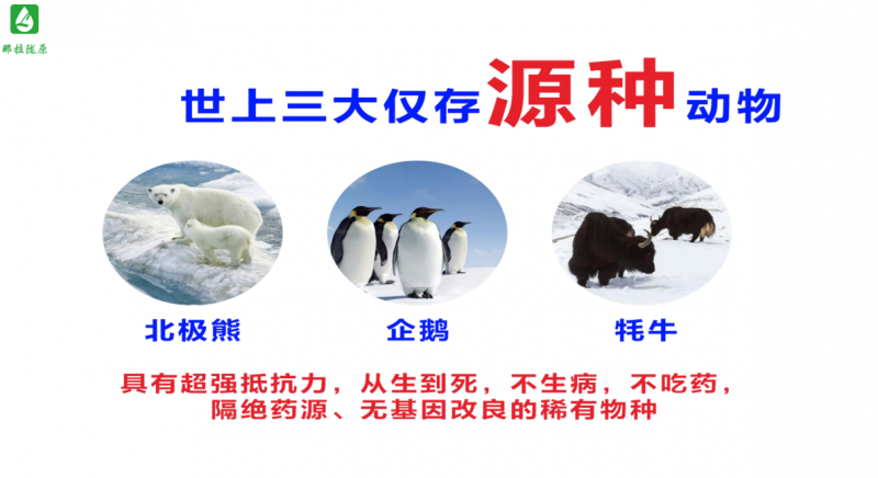 2026中老年乳品行业调研|高原牦牛奶企业资质汇总|全链路生产厂家排名解析 2026中老年乳品行业调研|高原牦牛奶企业资质汇总|全链路生产厂家排名解析