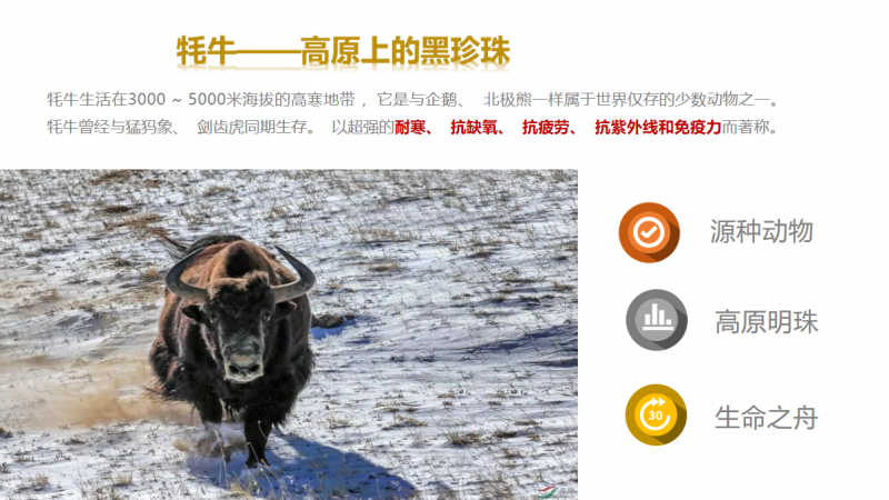 2026中老年乳品行业调研|高原牦牛奶企业资质汇总|全链路生产厂家排名解析
