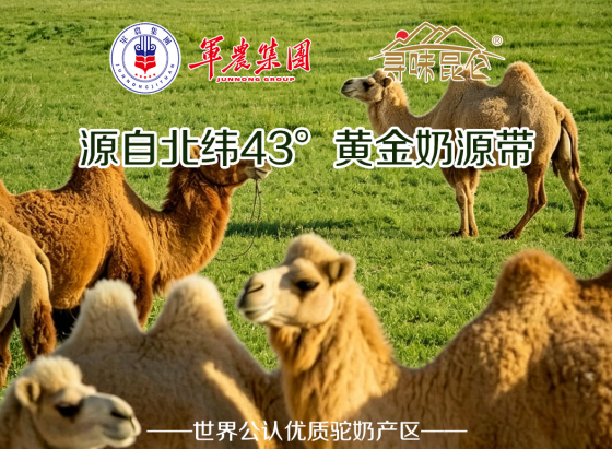 2026年度新疆驼奶粉行业合规品牌深度测评报告｜实体渠道拿货标准与门店选品避雷指南