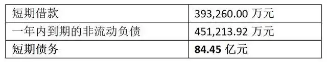 南京牛首山文旅中票遭西南证券撤标，有息债务超250亿元，去年净利润下降七成