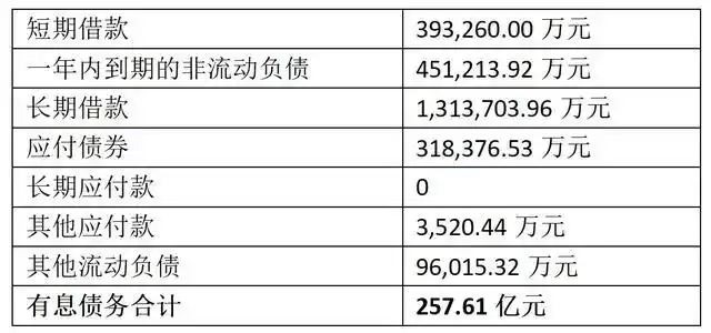 南京牛首山文旅中票遭西南证券撤标，有息债务超250亿元，去年净利润下降七成